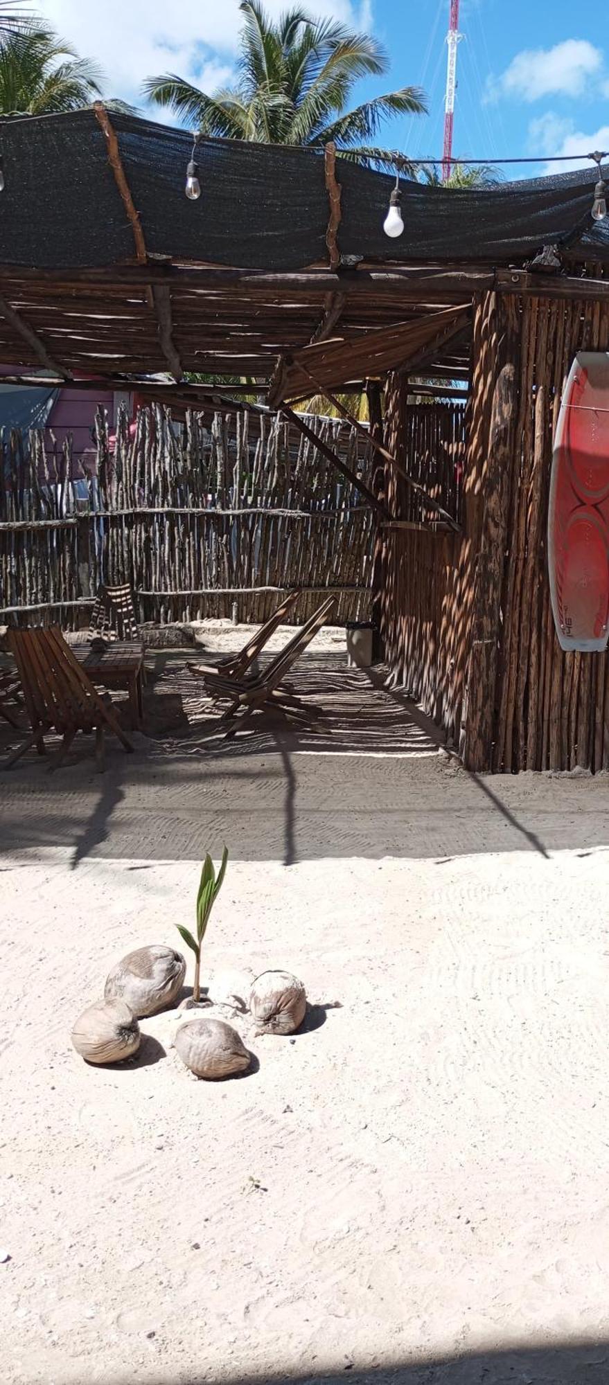 El Regalo El Cuyo Hotel Luaran gambar